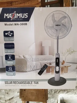 Maximus Fan