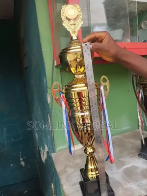 Photo - Trophy Cup, Big