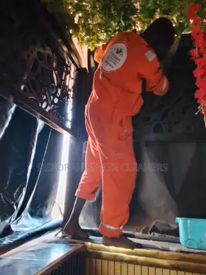 Indoor and Outdoor Space Cleaning