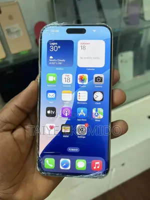 Apple iPhone 15 Pro Max 256 GB