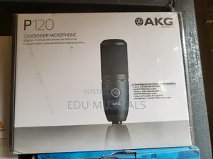 P120 Condeser Microphone