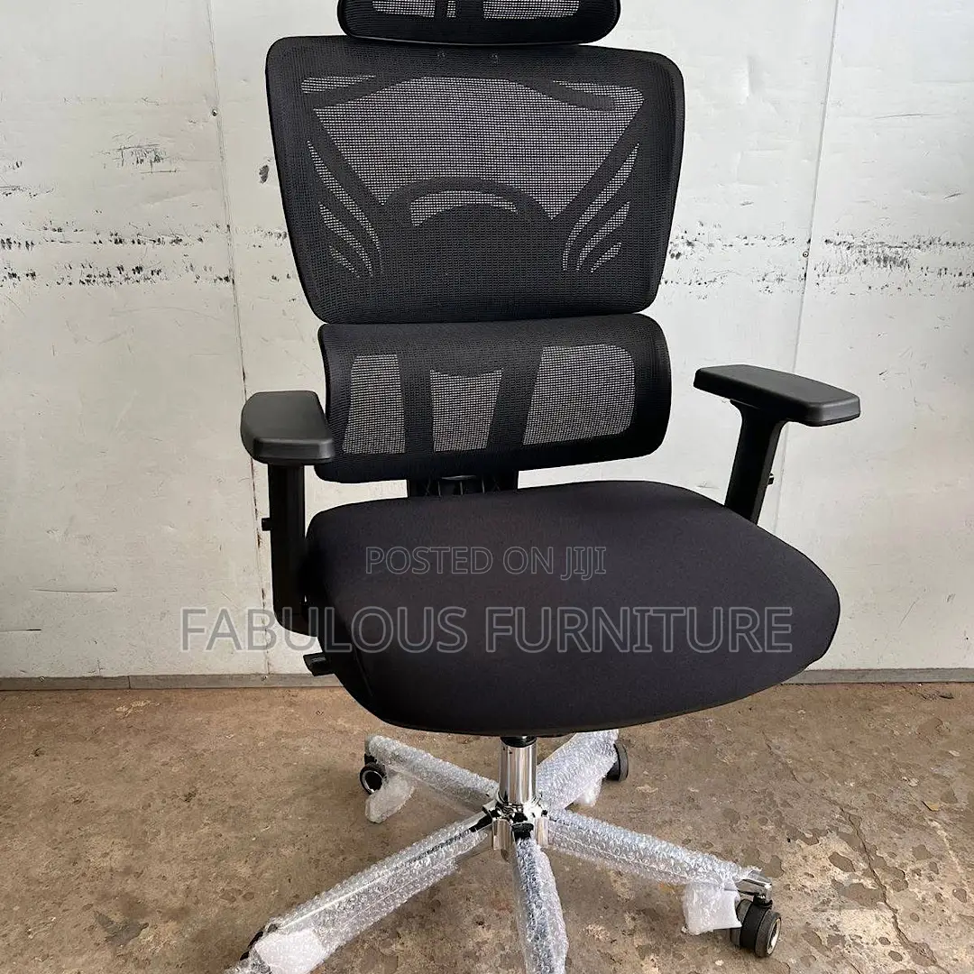 Orthopedic Executive Office Chair