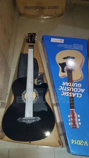 AJC Acoustic Guitar