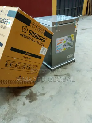 Photo - Introducing the New Cooling Snowsea 100L (Bd-158) Freezer