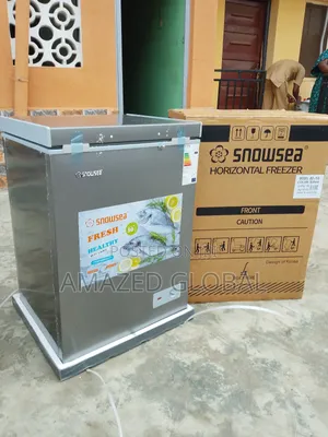 Affordable Snowsea Bd-158 Chest Cooling Freezer -Silver 100L