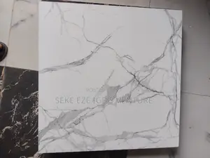 Super Polish China Tiles