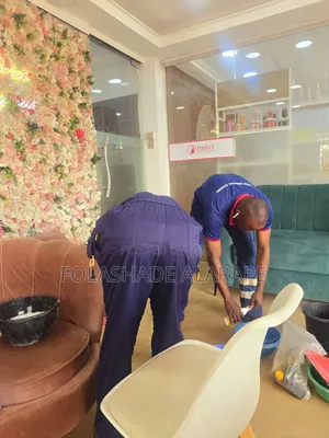 Professional Cleaning