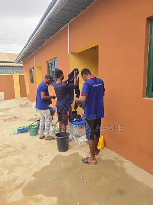 Professional Cleaning