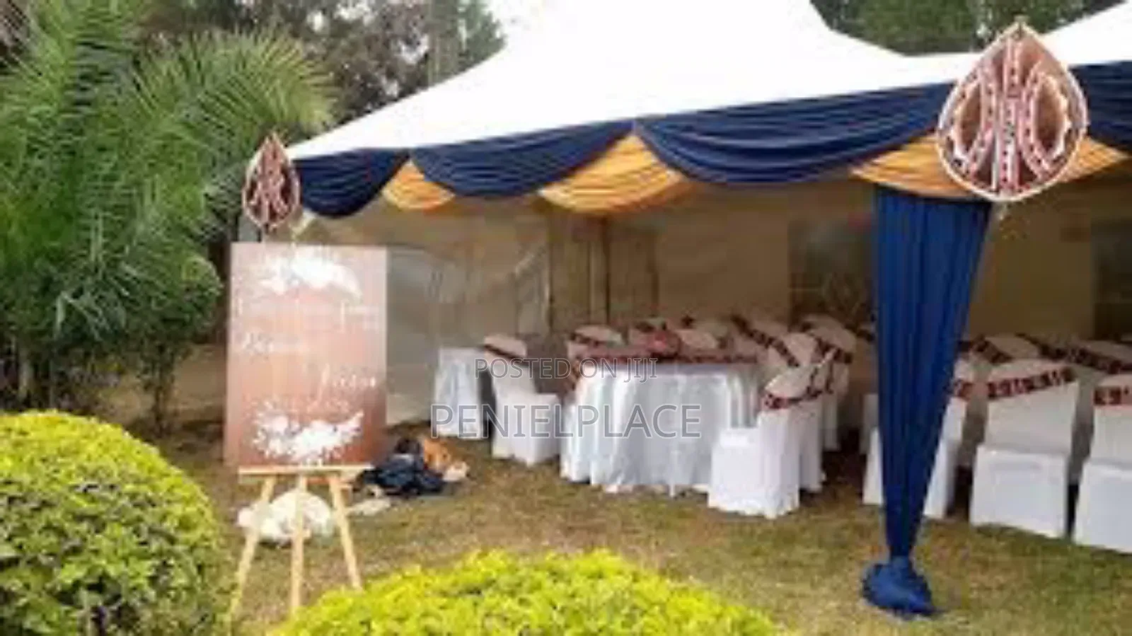 Wedding and Birthday Decoration