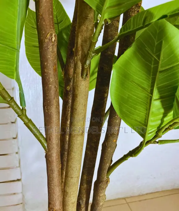 Artificial Decorative Fiddle Tree (Height: 200cm)