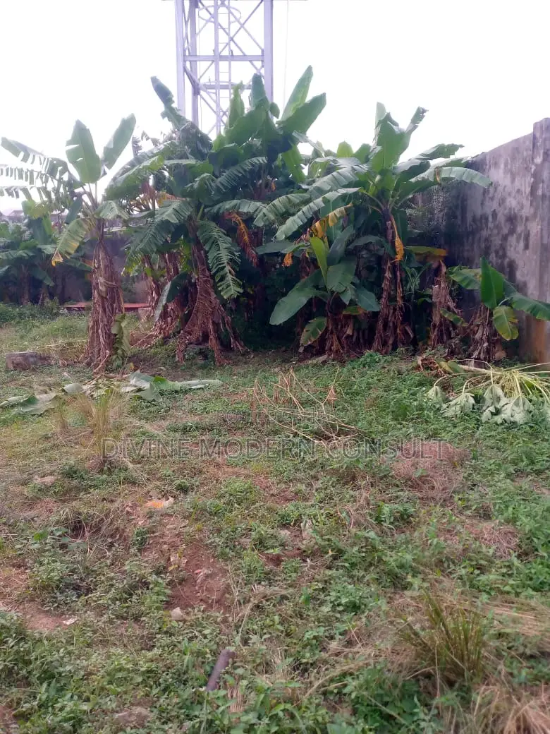 Warehouse for Sale
