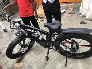 Big Size Electric Bicycle