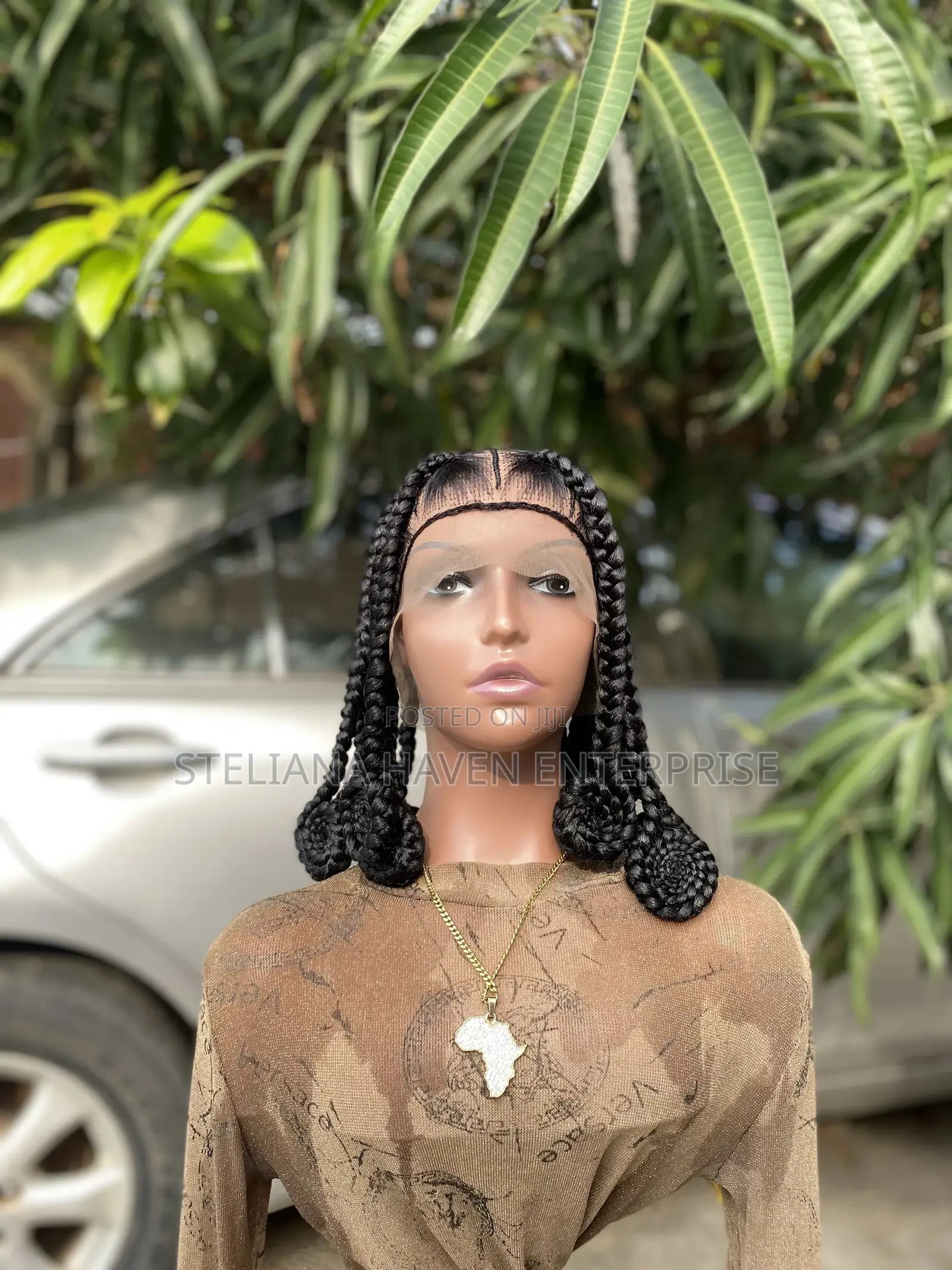 Braided Wig