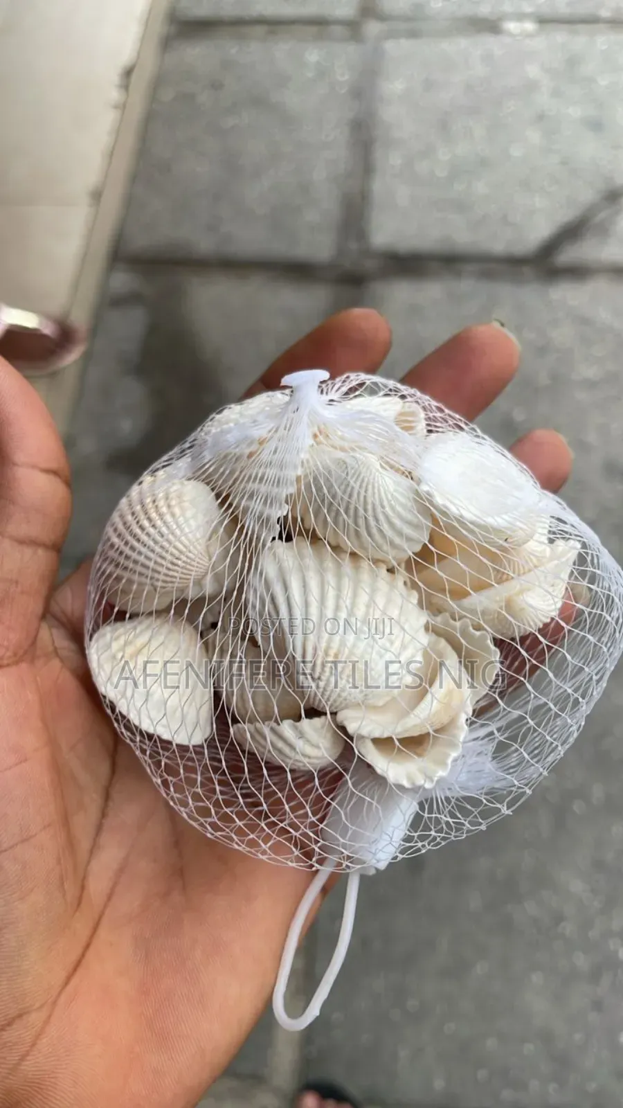 Shells Pebbles