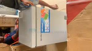 Skyrun Chest Freezer