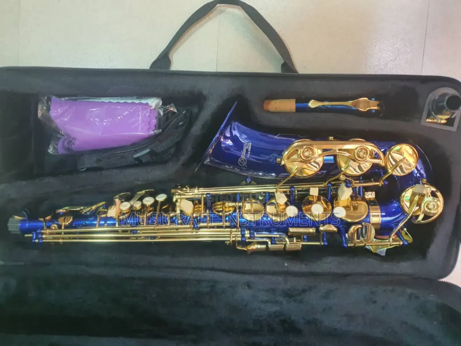 Atlantic PRO Coloured Alto Saxophone