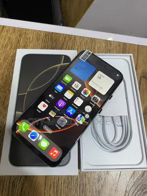 Apple iPhone 16 Pro Max 1 TB Silver
