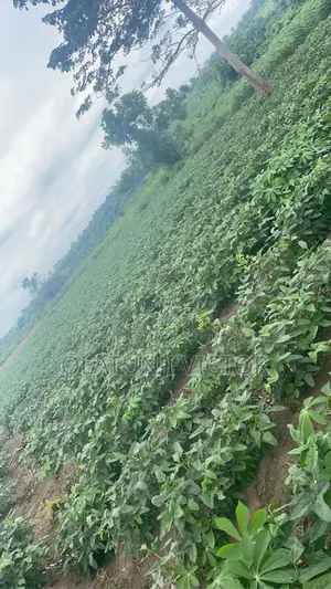 Photo - Farmland for Sale