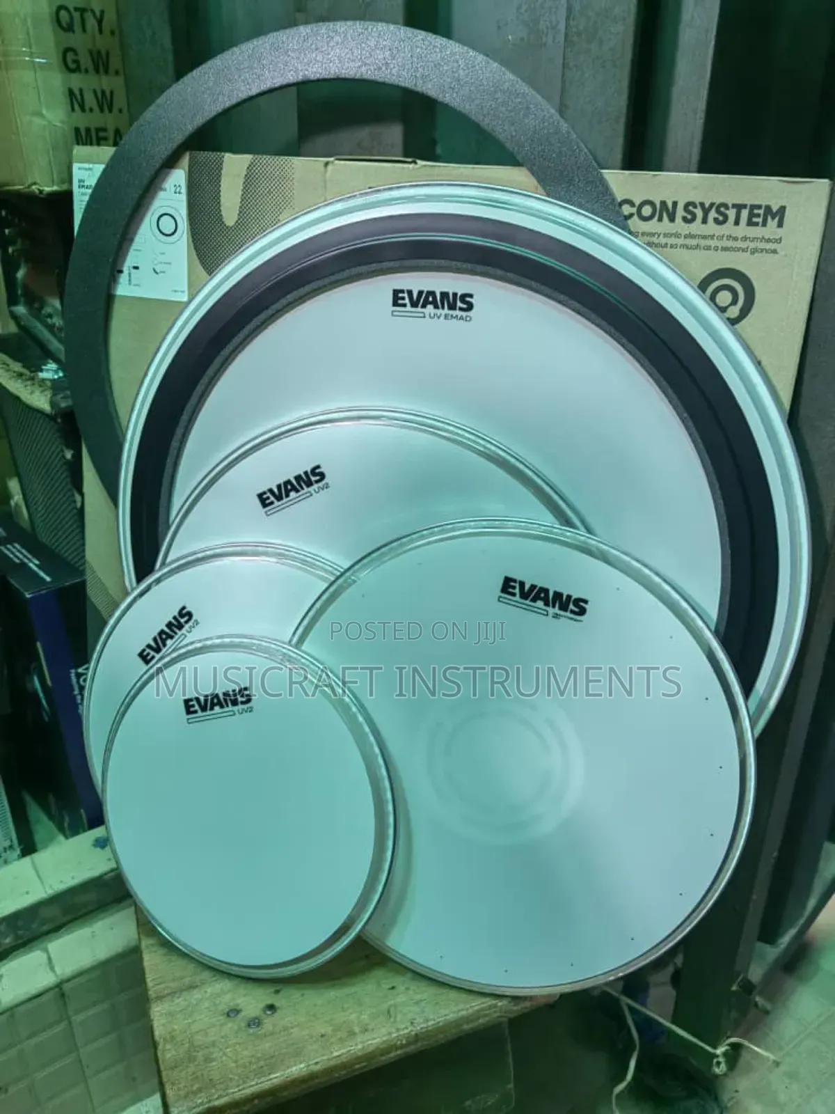Evans Drum Head