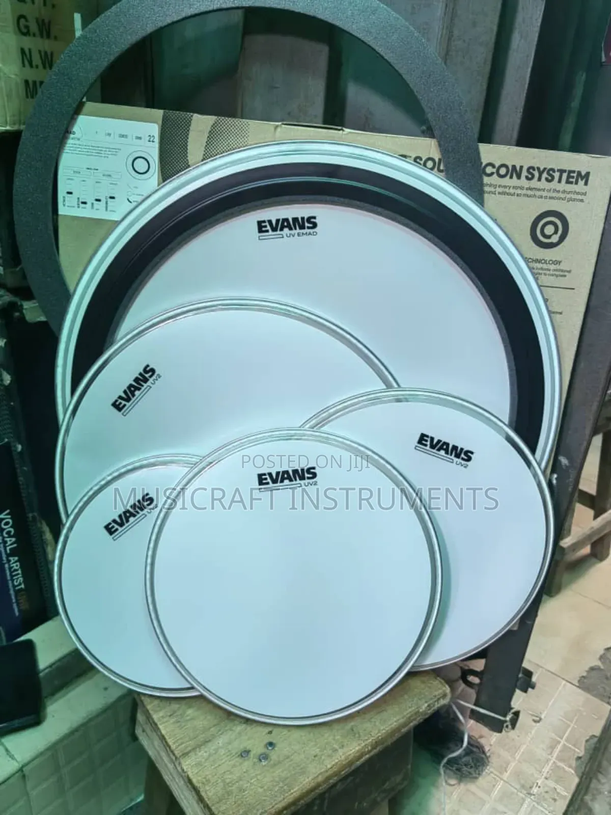 Evans Drum Head