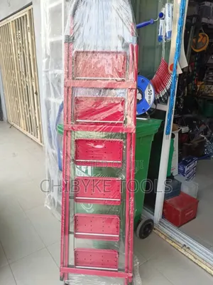 5 Step Household Ladder