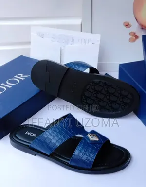 DIOR Classic Luxury Black and Blue Slippers