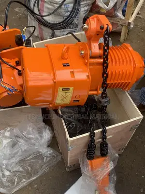 Hot Sales Electric Chain Block 2ton