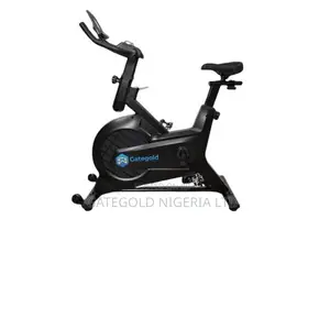 GA-25002 Spin Bike (Gategold Brand)