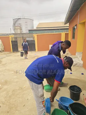 Professional Cleaning