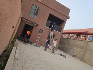 Professional Cleaning