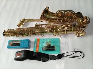 Jy Usa Professional Alto Saxophone