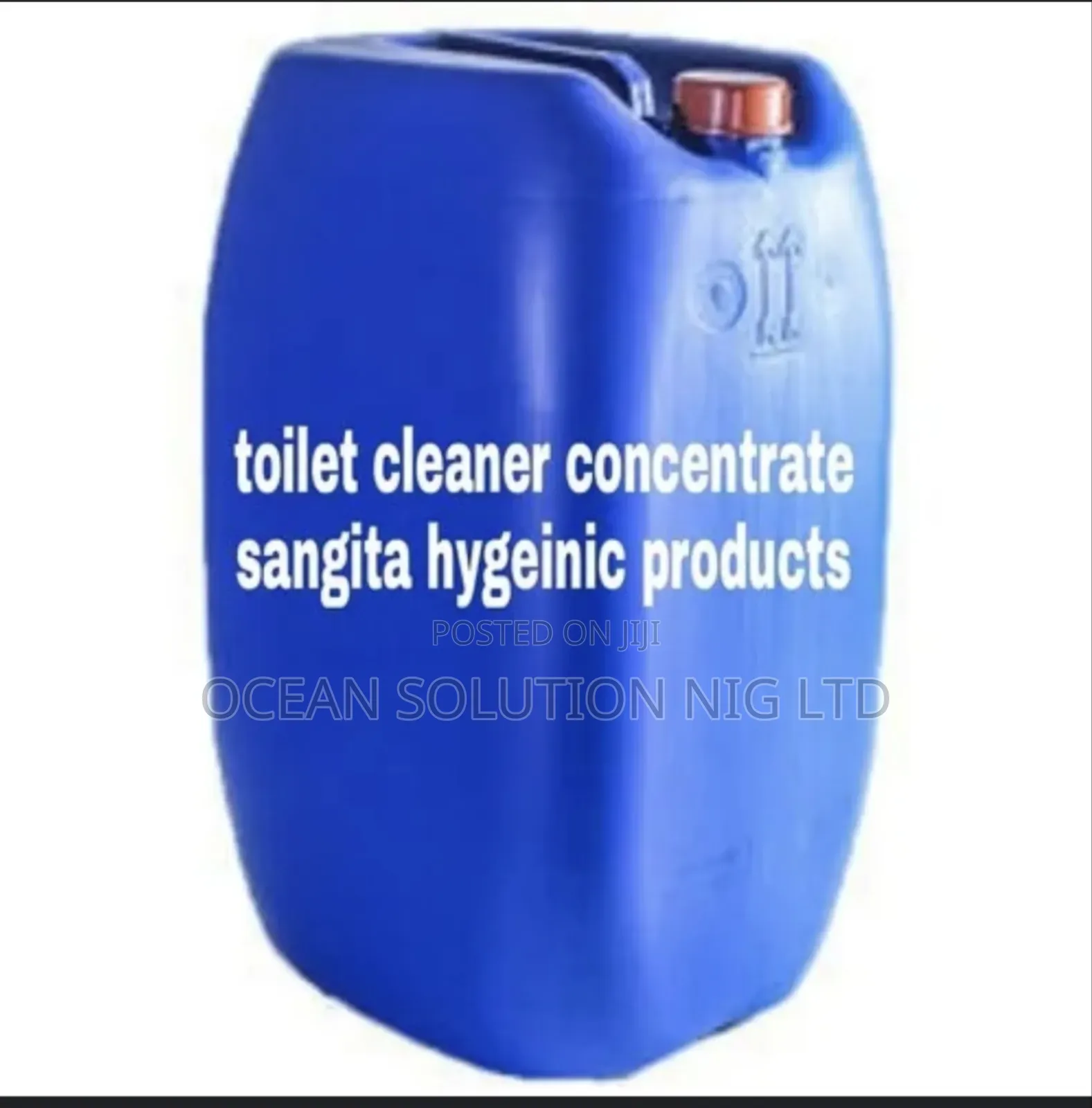 Toilet Cleaner