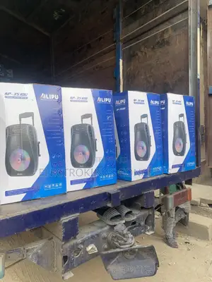 Powerful Public Address Speaker Wireless Microphone