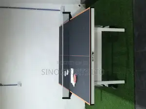 Standard Hot Shot Table Tennis Board