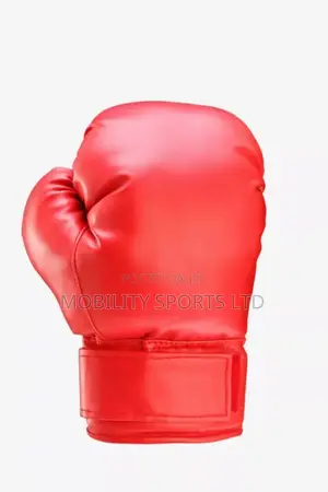 Boxing Glove