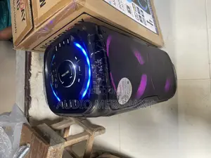 Public Address System With Dual Wireless Microphone