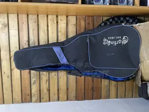 Padded Bass Guitar Bag