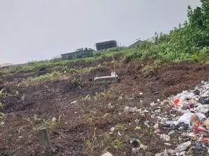 30ft by 120ft Ijegun Festac New Link Near Rd