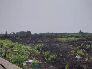 120ft by 60ft Full Plot Ijegun Lasu Link Verified
