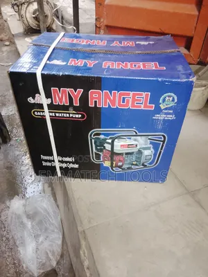 Angel Gasoline Water Pump