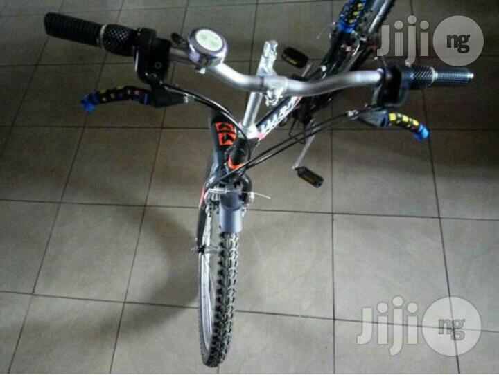 Bicycle for Adults