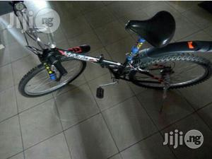 Bicycle for Adults