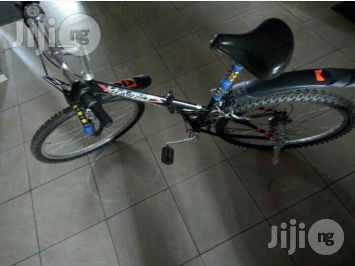 Bicycle for Adults