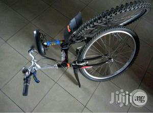 Bicycle for Adults