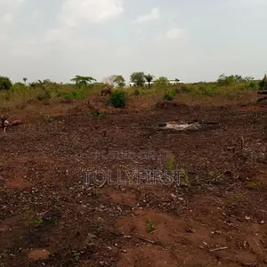 Ewekoro ( Registed Survey and Deed of Assignment)