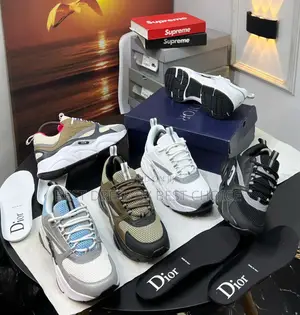 DIOR B22 Homme Technical Mesh Sneakers
