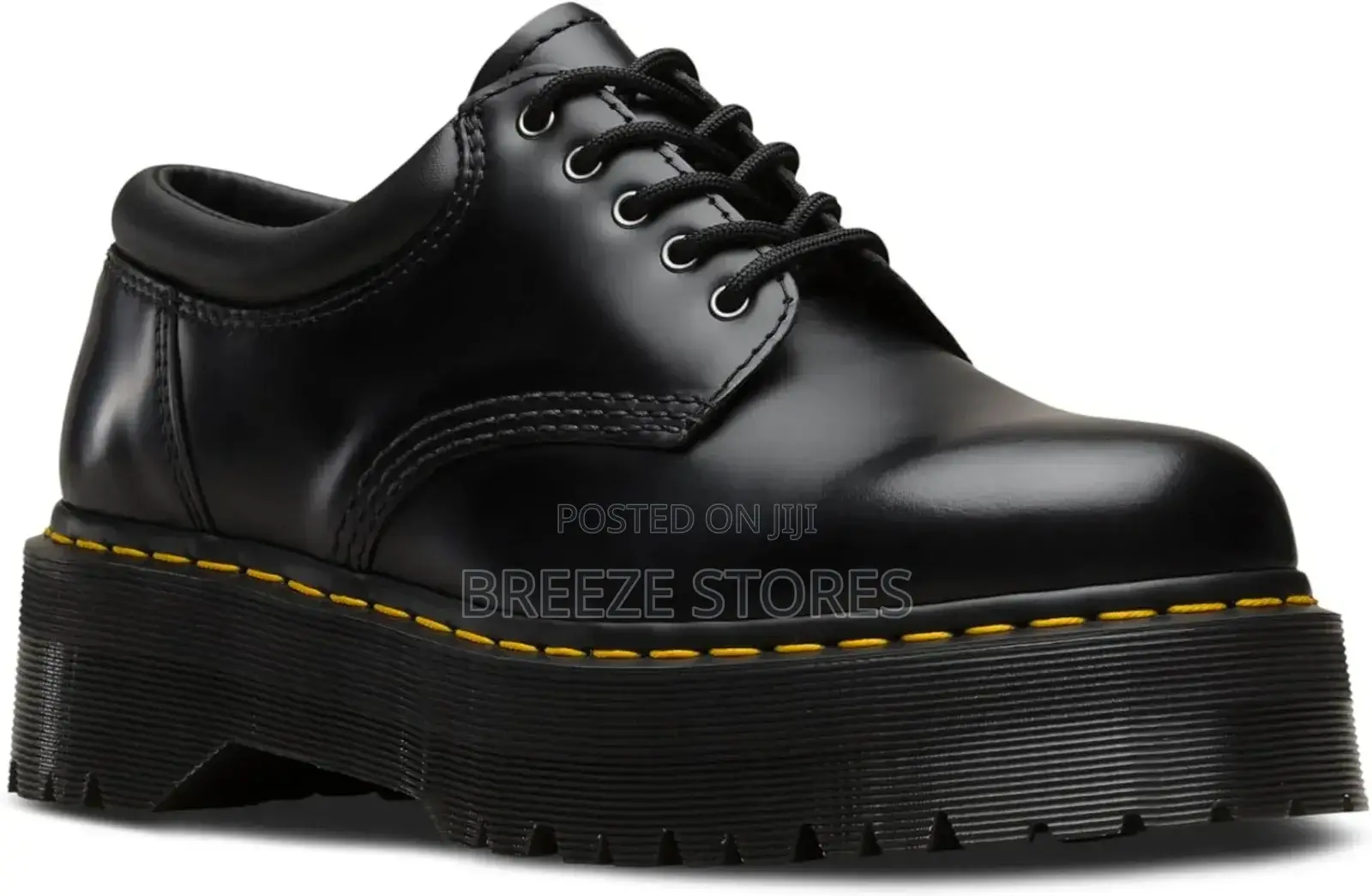 Doc Martens Platforms | Bag | Extra Laces