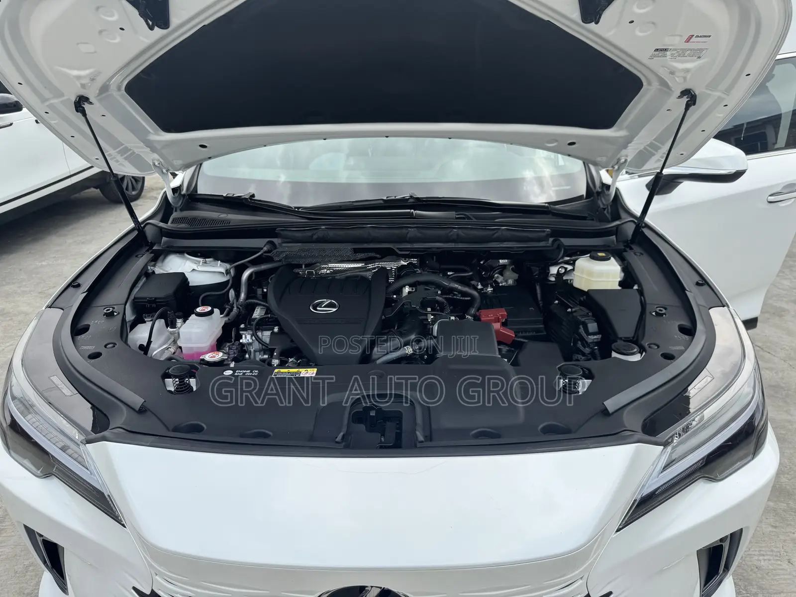 Lexus RX 2023 White