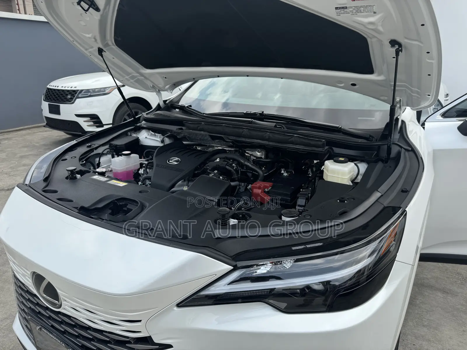 Lexus RX 2023 White