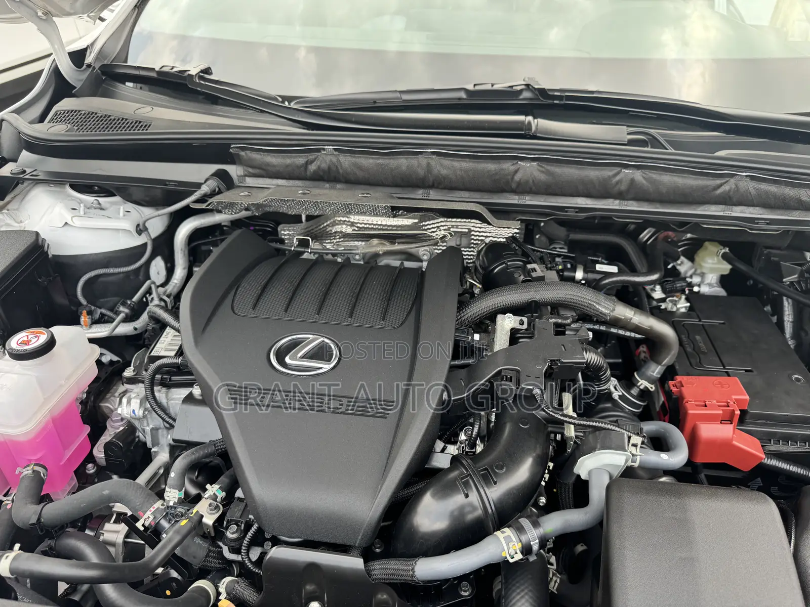 Lexus RX 2023 White